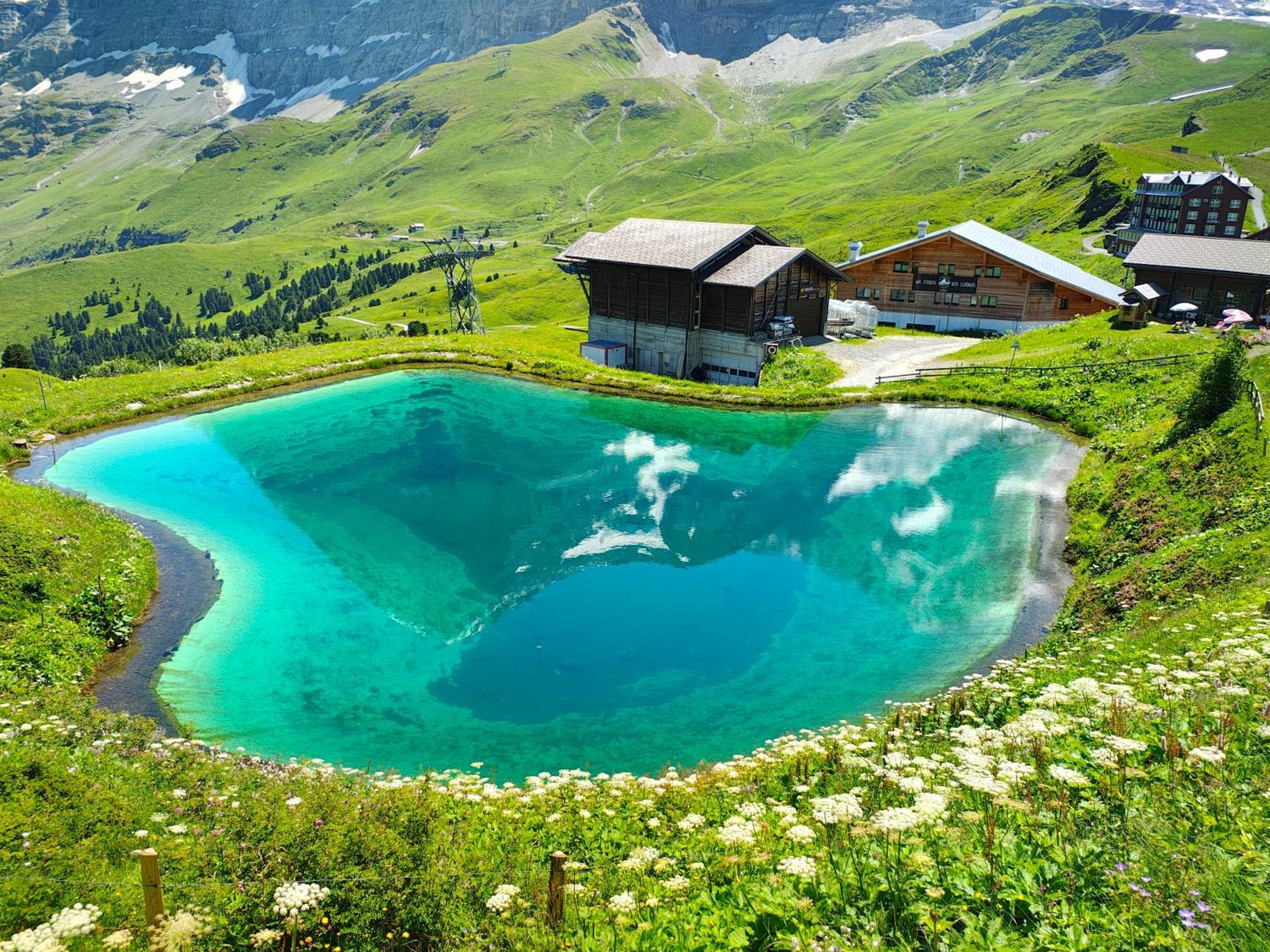 Chalet Schwendiboden Гріндельвальд Екстер'єр фото
